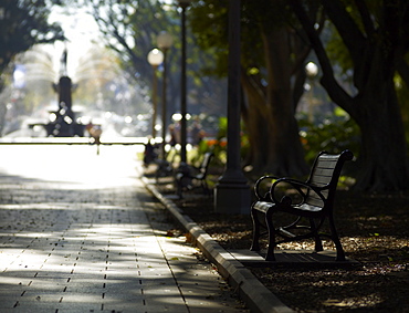 Hyde Park, Sydney, New South Wales, Australia, Pacific