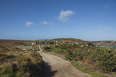 Bryer, Isles of Scilly, United Kingdom, Europe