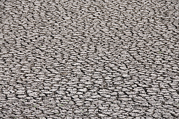 Cracked river bed in drought, Mexico, North America