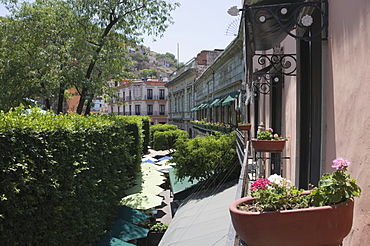 In the main square or Jardin de la Union in Guanajuato, a UNESCO World Heritage Site, Guanajuato, Guanajuato State, Mexico, North America