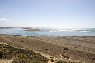 Punta Cantor, Valdes Peninsula, Patagonia, Argentina, South America