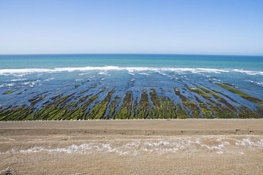 Punta Cantor, Valdes Peninsula, Patagonia, Argentina, South America