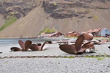 Propellers in front of old whaling station at Stromness Bay, South Georgia, South Atlantic