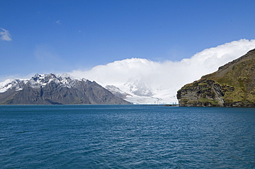 Coast near Grytviken, South Georgia, South Atlantic