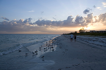 Sunset on beach, Sanibel Island, Gulf Coast, Florida, United States of America, North America