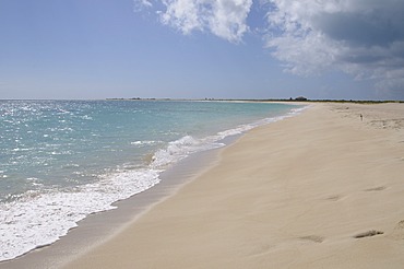 Wonderful sandy beach, Barbuda, Antigua and Barbuda, Leeward Islands, West Indies, Caribbean, Central America