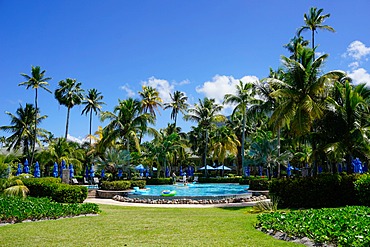 Nevis, St. Kitts and Nevis, Leeward Islands, West Indies, Caribbean, Central America 