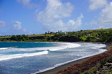 Atlantic coast, St. Kitts, St. Kitts and Nevis, Leeward Islands, West Indies, Caribbean, Central America 