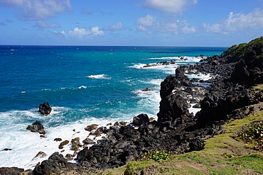 Atlantic coast, St. Kitts, St. Kitts and Nevis, Leeward Islands, West Indies, Caribbean, Central America 