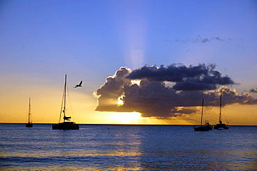 Sunset, St. Kitts and Nevis, Leeward Islands, West Indies, Caribbean, Central America 