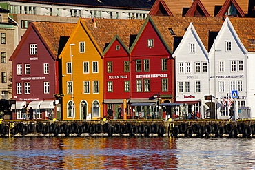 Traditional wooden Hanseatic merchants buildings of the Bryggen, UNESCO World Heritage Site, in harbour, Bergen, Hordaland, Norway, Scandinavia, Europe