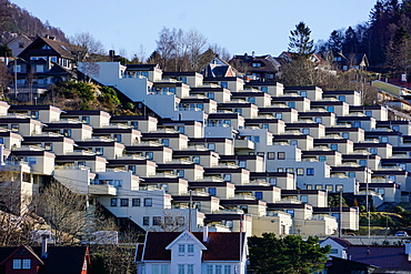 Fjord side housing development near Bergen, Hordaland, Norway, Scandinavia, Europe