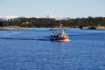 Fishing boat in Fjord, near Bergen, Hordaland, Norway, Scandinavia, Europe