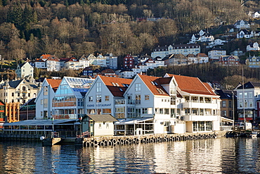 View on the harbour In Bryygen district, Bergen, Hordaland, Norway, Scandinavia, Europe