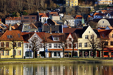 Lille Lungegard lake, Bergen, Norway, Scandinavia, Europe