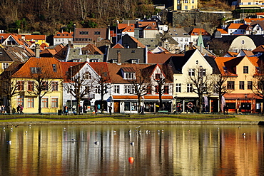 Lille Lungegard lake, Bergen, Norway, Scandinavia, Europe