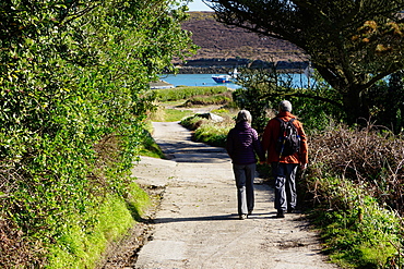 Bryher, Isles of Scilly, England, United Kingdom, Europe