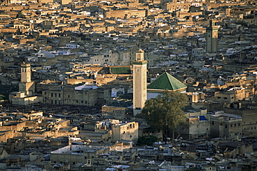 The Medina, old walled city from hill, Fez, Morocco, North Africa, Africa