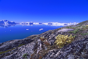 The icefjord at Sermermiut, Ilulissat, formerly Jacobshavn, Greenland, Polar Regions