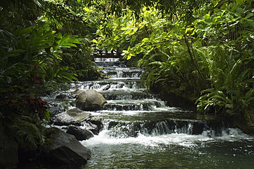 Tabacon Hot Springs, Volcanic hot springs fed from the Arenal Volcano, Arenal, Costa Rica