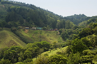 Near Monteverde, Costa Rica