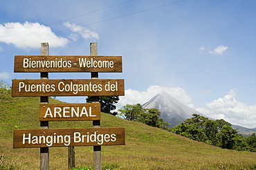 Hanging Bridges, a walk through the rainforest, Arenal, Costa Rica, Central America