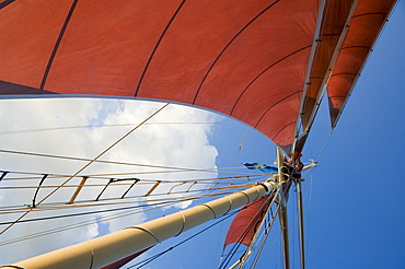 Red sails on sailboat that takes tourists out for sunset cruise, Key West, Florida, United States of America, North America