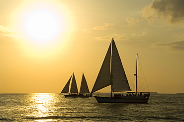 Sailboats at sunset, Key West, Florida, United States of America, North America