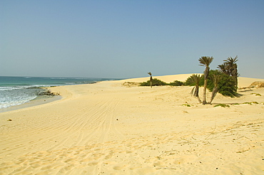 Praia de Chaves (Chaves Beach), Boa Vista, Cape Verde Islands, Atlantic, Africa