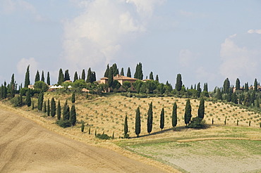 Typical view of the Tuscan landscape, Le Crete (The Crete), Tuscany, Italy, Europe