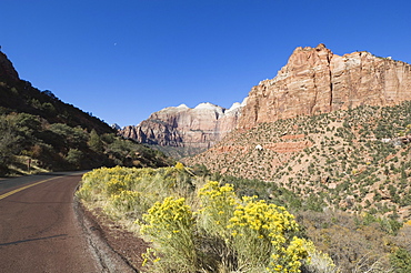 Zion National Park, Utah, United States of America, North America