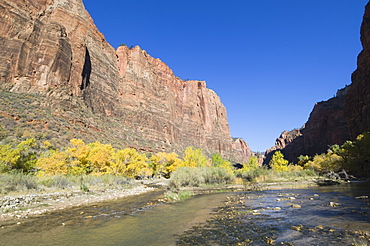 Zion National Park, Utah, United States of America, North America