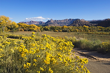 Landscape near Zion National Park, Utah, United States of America, North America