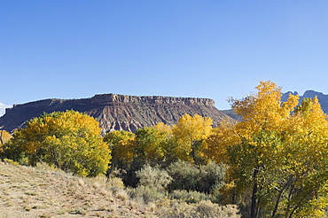 Landscape near Zion National Park, Utah, United States of America, North America