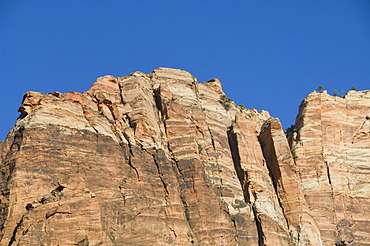 Zion National Park, Utah, United States of America, North America