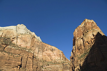 Zion National Park, Utah, United States of America, North America