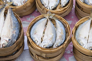 fish in market, Luang Prabang, Laos, Southeast Asia