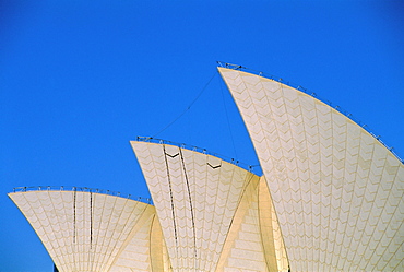 Sydney Opera House, Sydney, New South Wales, Australia