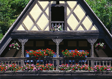 Flowers on the Balcony of an Old Fashioned Building, Alsace, France