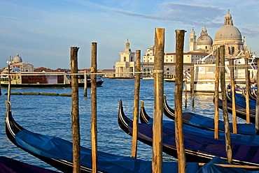 Gondolas at moorings, with Santa Maria della Salute church in the background, Venice, UNESCO World Heritage Site, Veneto, Italy, Europe