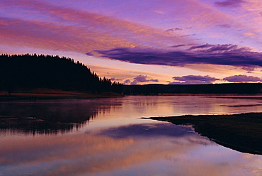 Alum Creek at dawn, Yellowstone National Park, Wyoming, USA