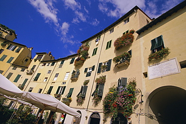 Piazza Anfiteatro, Lucca, Tuscany, Italy, Europe