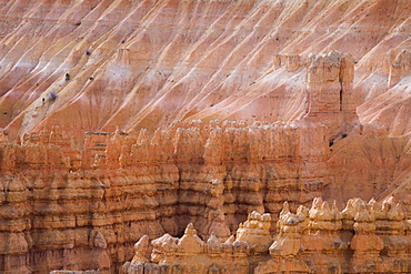 Bryce Canyon National Park, Utah, United States of America, North America