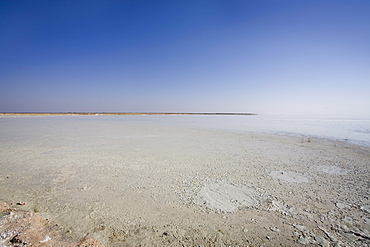 Track into Etosha Pan, Etosha National Park, Namibia, Africa