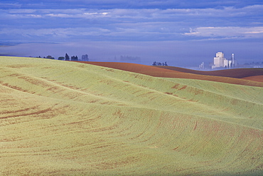 Genesee grain silo, Palouse, Idaho, United States of America, North America