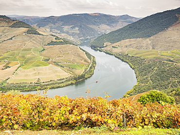 View over the River Duoro in autumn, Portugal, Europe