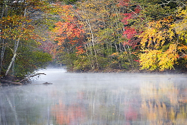 Morning mist and fall colours, River Pemigewasset, New Hampshire, New England, United States of America, North America