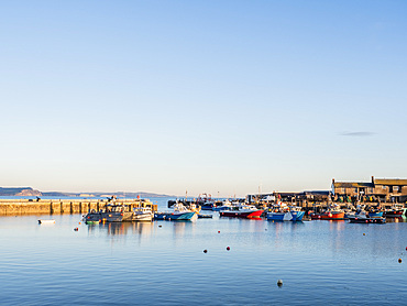 Moored boats in the evening, the Harbour, Lyme Regis, Dorset, England, United Kingdom, Europe