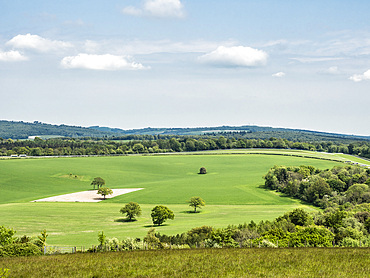 Countryside near Goodwood, South Downs National Park, West Sussex, England, United Kingdom, Europe