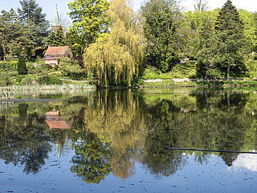 Lake in the grounds of the Louisiana Museum of Modern Art, Humlebaek, Copenhagen, Denmark, Scandinavia, Europe